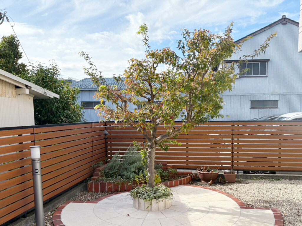 もみじの剪定：剪定前